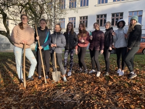 Projekt Krokus (3. 11. 2022)